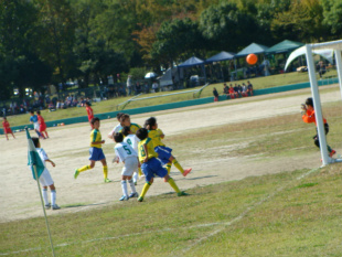 DSC00140.jpg