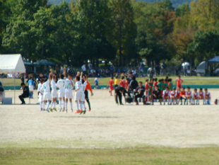 DSC00142.jpg