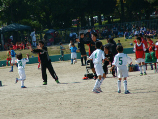 DSC00145.jpg