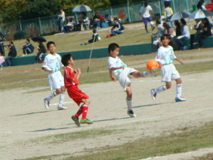 DSC00153.jpg