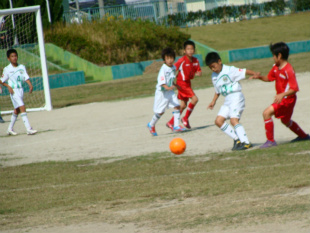 DSC00156.jpg