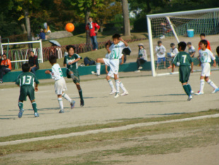 DSC00165.jpg