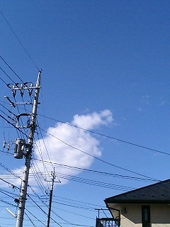 20061227_269006.jpg