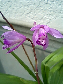 090504_1318~0001.jpg