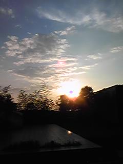 090611_1814~01.jpg