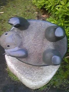 090611_1820~01.jpg