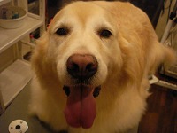 DSC00301.jpg