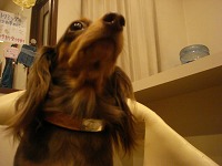 DSC00302.jpg