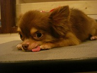 DSC00310.jpg