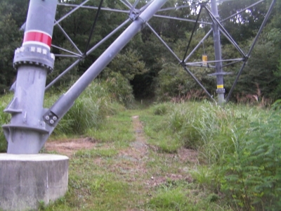 高越山登山道