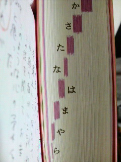 2009092223060000.jpg