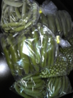 190524_100659.jpg
