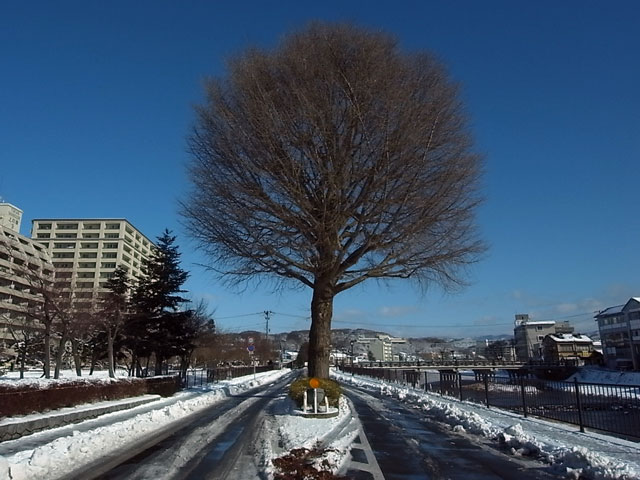 上の橋界隈