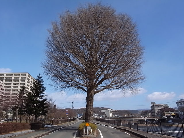 啓蟄