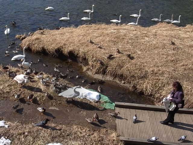 中津川