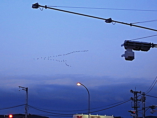 北帰行