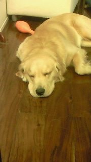 201002031614000.jpg