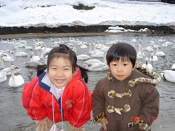 ぴな&りょぉと白鳥さん