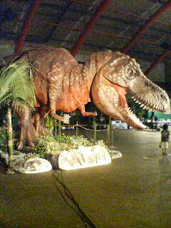20070723145204.jpg
