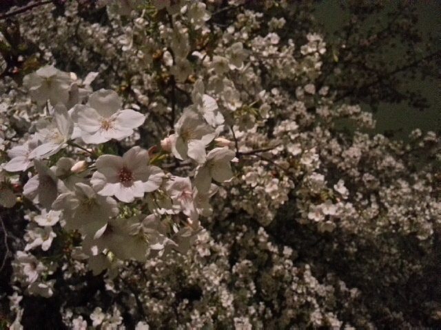 20130322_204536_LLS.jpg