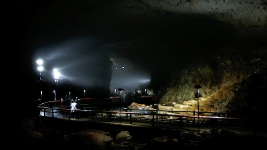 IMGP7523-w.jpg