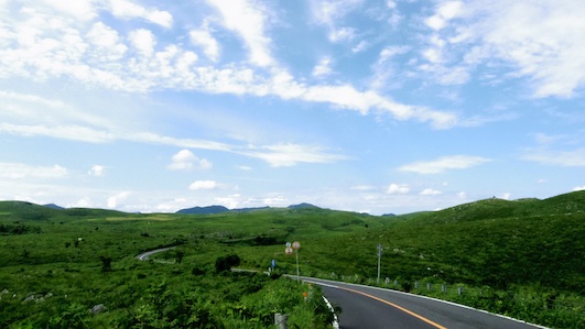 IMGP7529-w.jpg