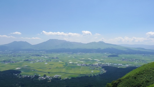 IMGP8222-w.jpg