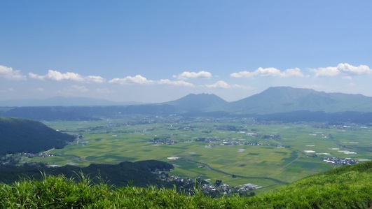 IMGP8241-w.jpg