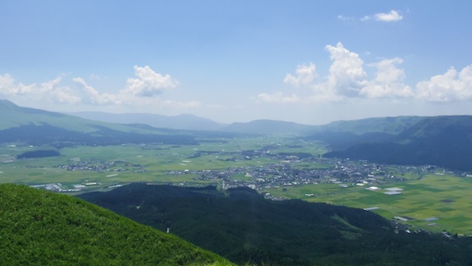 IMGP8244-w.jpg