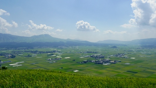 IMGP8302-w.jpg