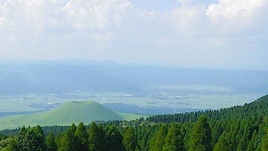 IMGP8361-w.jpg