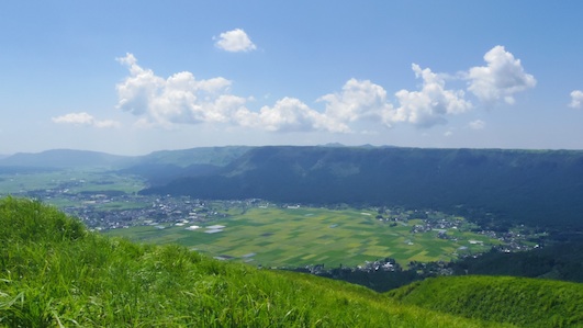 IMGP8229-w.jpg