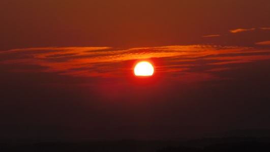 IMGP8597-w.jpg
