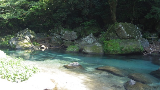 IMGP9820-w.jpg