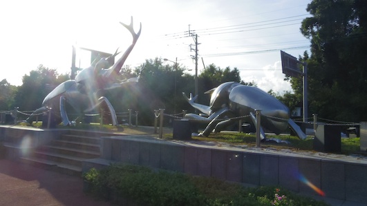 IMGP0125-w.jpg