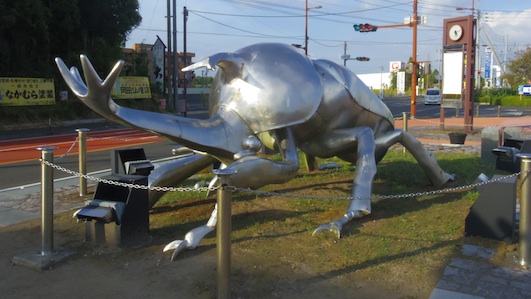 IMGP0126-w.jpg