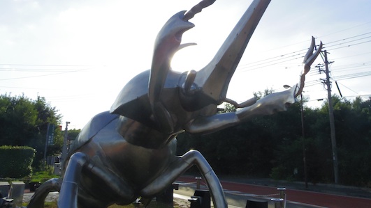 IMGP0127-w.jpg