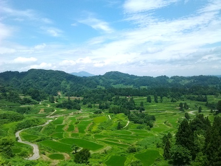 20131022_588374-w.jpg