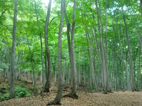20131022_588375-w.jpg