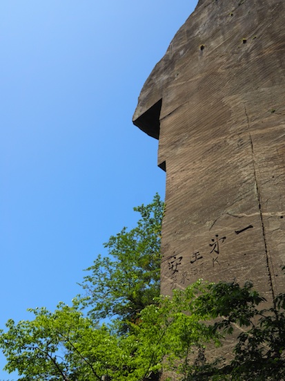 P5024850-1.jpg