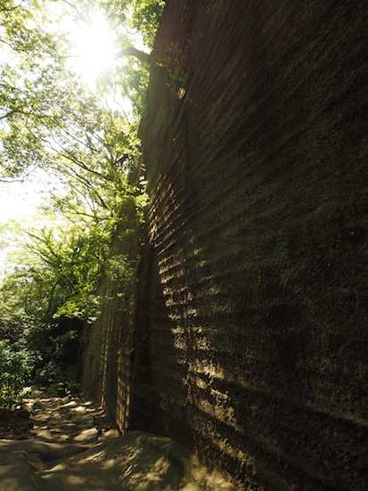 P5024930-1.jpg