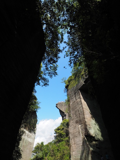 P5024941-1.jpg
