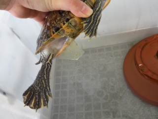 20180826_2661369.jpg