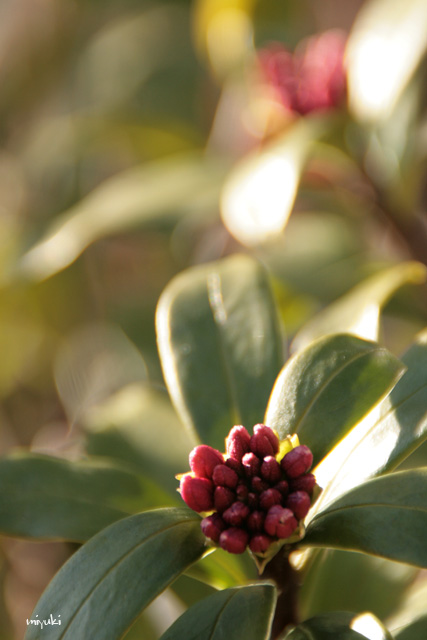 �����֤��