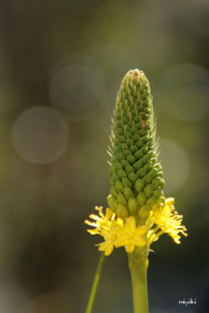 �������֤Ȥޤ�ܤ���