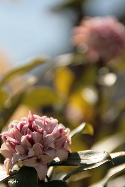 ���������֢�