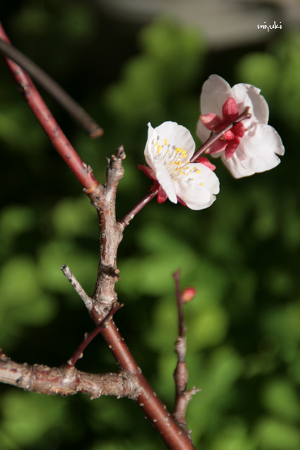 �����ߢ�