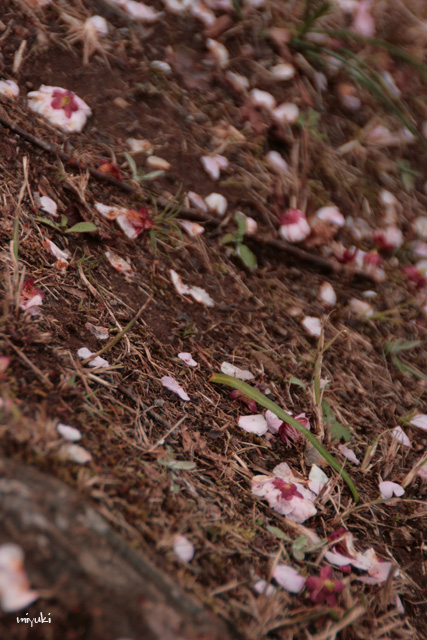 ���ä�����