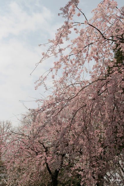 ����ä�����֤�