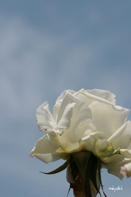 ���򸫾夲��